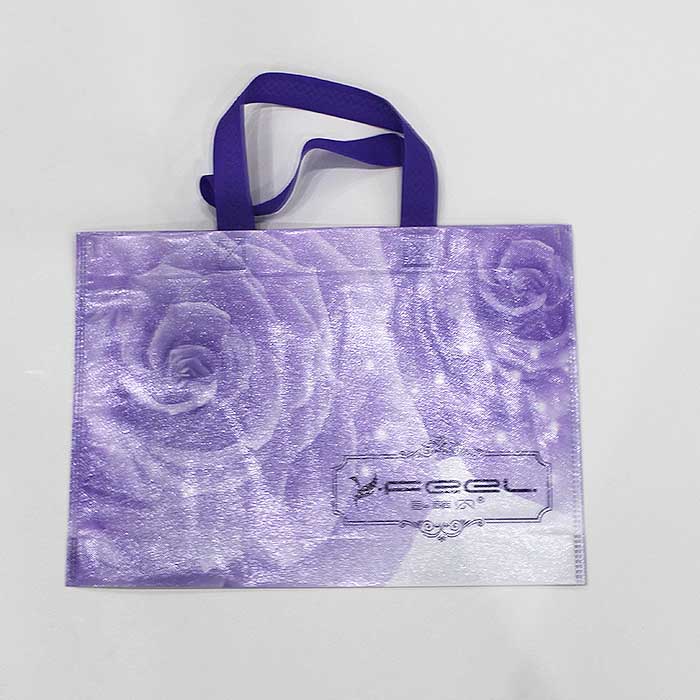 Reticule